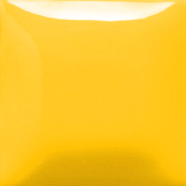 FS 2301 Smiley Face