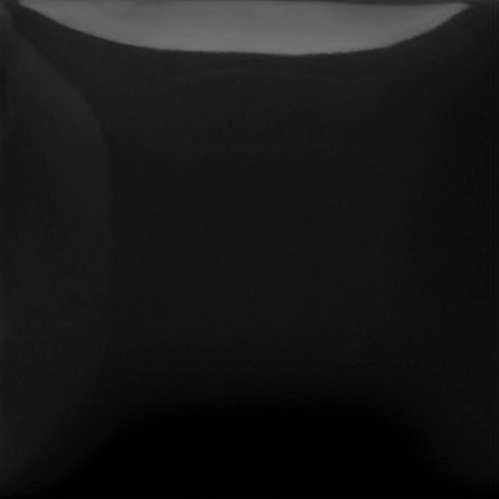 FS 2314 Black Lab
